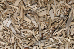 biomass boilers Cotmaton